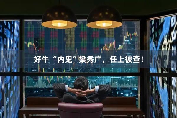 好牛 “内鬼”梁秀广，任上被查！