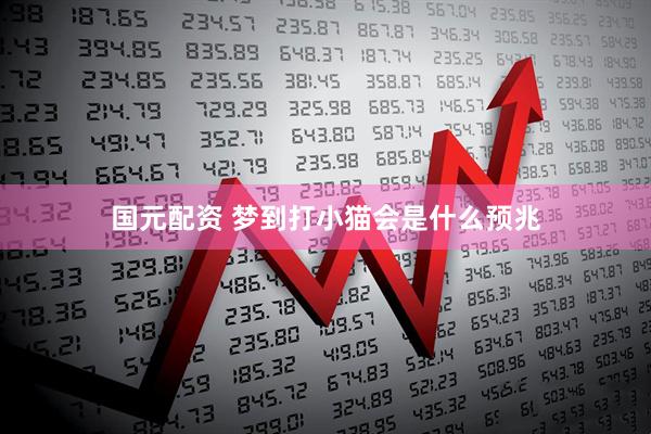 国元配资 梦到打小猫会是什么预兆