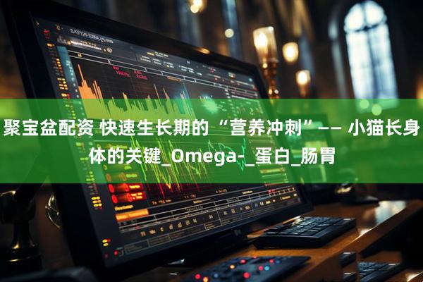 聚宝盆配资 快速生长期的 “营养冲刺”—— 小猫长身体的关键_Omega-_蛋白_肠胃