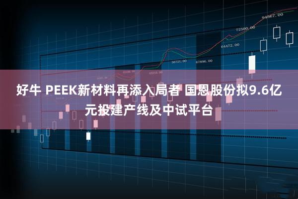 好牛 PEEK新材料再添入局者 国恩股份拟9.6亿元投建产线及中试平台